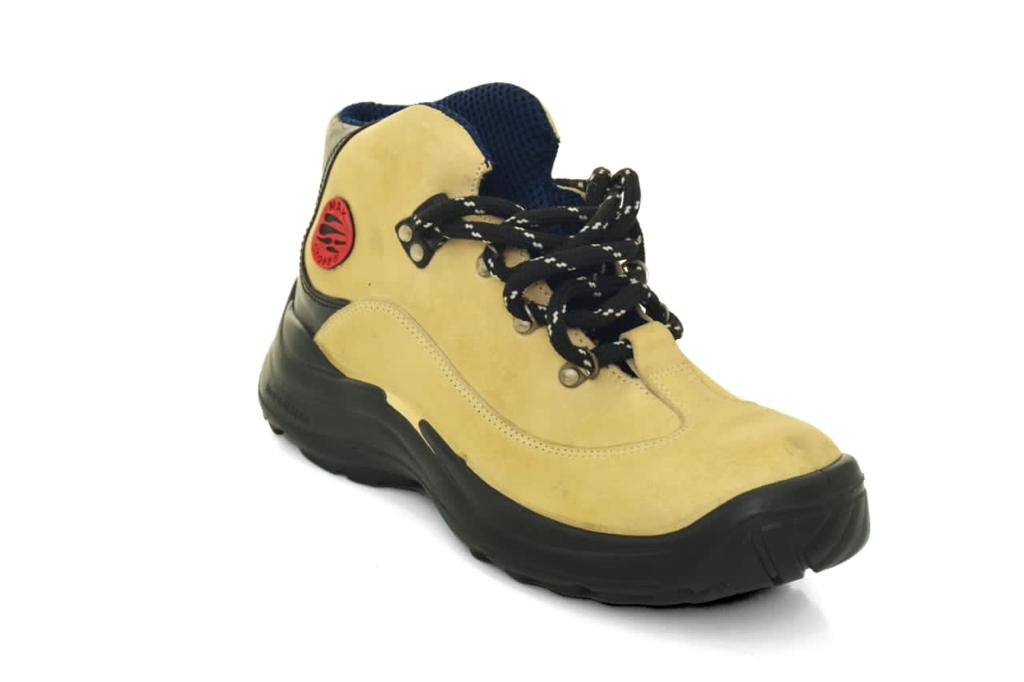 the shoes